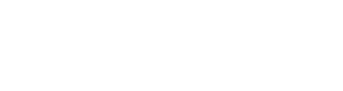 Zenith Project